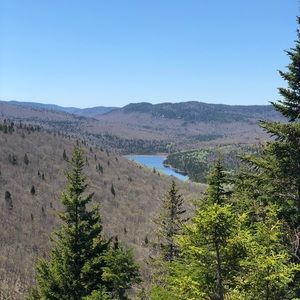 Meet your Posher, Annie